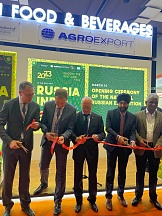 Russian companies at the AAHAR International Food & Hospitality Fair 2023 Russian companies at the AAHAR International Food & Hospitality Fair 2023