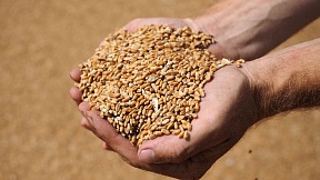 On extension of the grain deal On extension of the grain deal